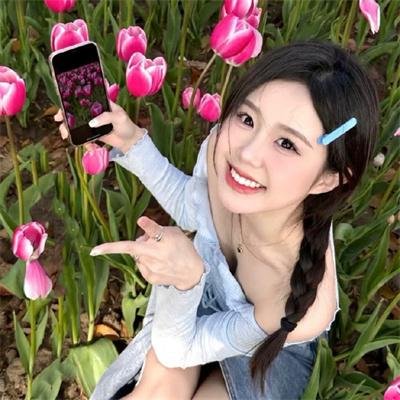 火舞丽人粤语 在线观看封面